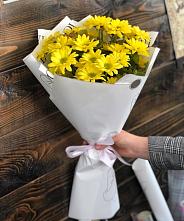 Букет цветов из:  Хризантемы #REPLACE_PRED# Павловскую слободу
