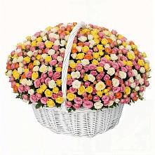 Премиум букет из: Розы в Павловскую слободу