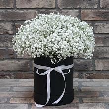 Цветочная композиция из Гипсофила в шляпной коробке в Павловскую слободу