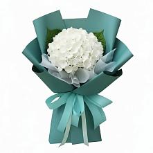 Букет цветов из:  Гортензия в Павловскую слободу